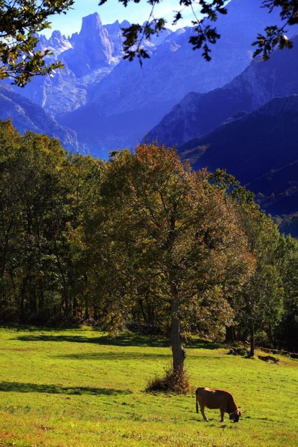 Hotel Arenas De Cabrales- Apartamentos Zewnętrze zdjęcie